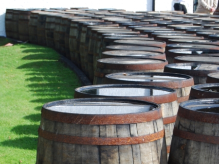 Whisky barrels at the Laphroaig Distillery, Islay